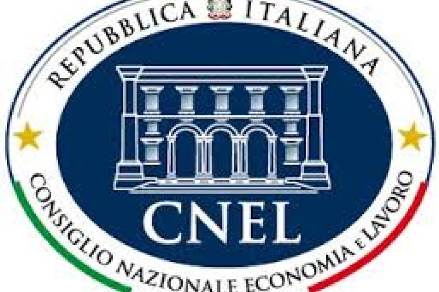 CNEL – insediata la Consulta del lavoro autonomo